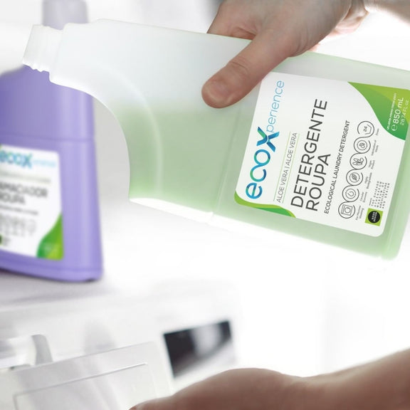 EcoX